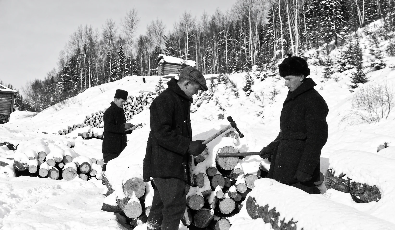 Photographie d’archives des chantiers de la Côte-Nord, image 5