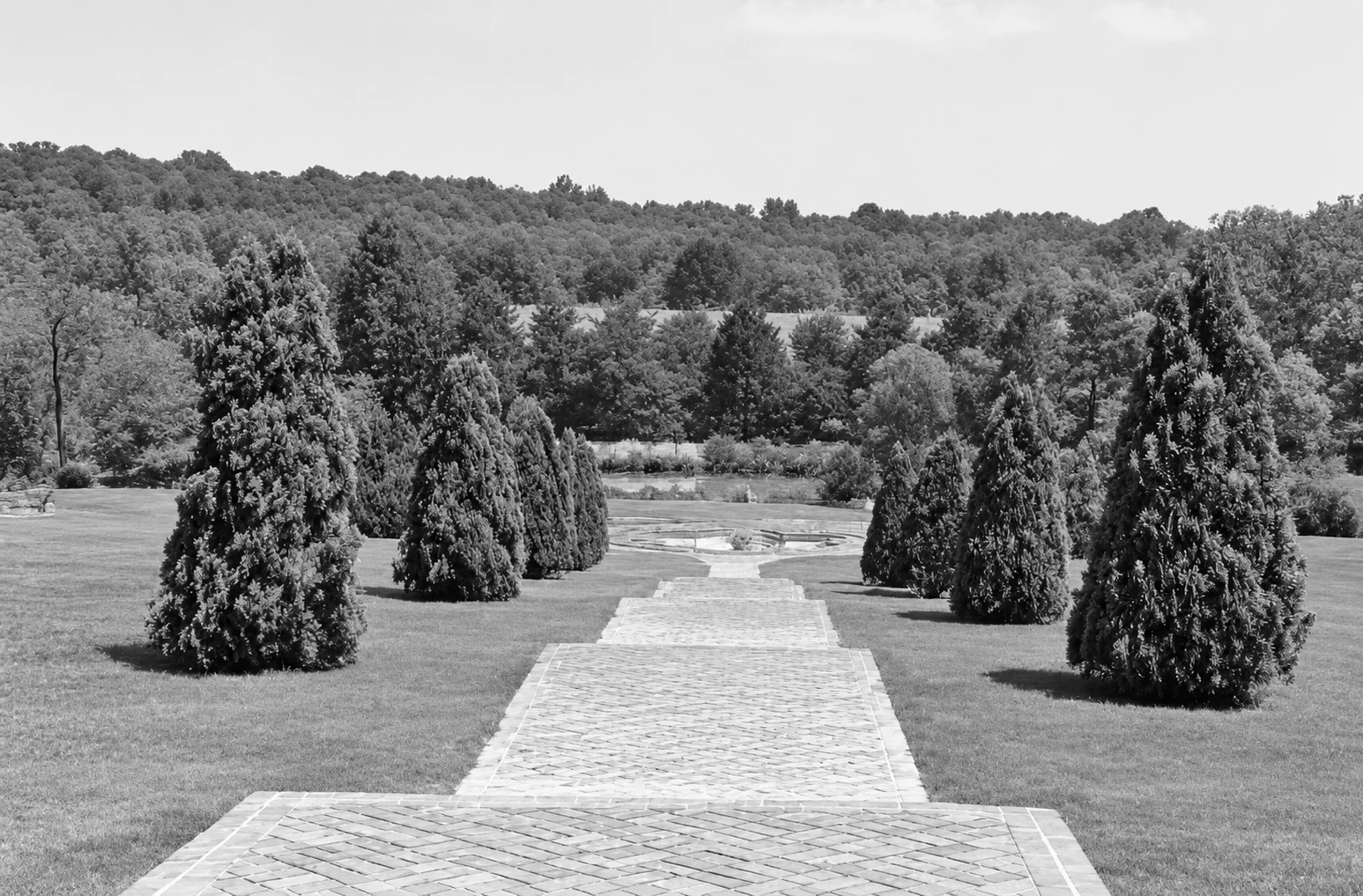 Jardines